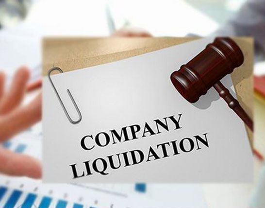 Liquidator Services